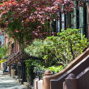 267Union_0000_68d977d5.the-neighborhood-bg